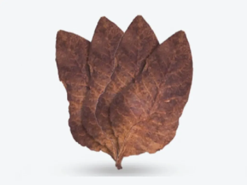 Flue Cured Tobacco