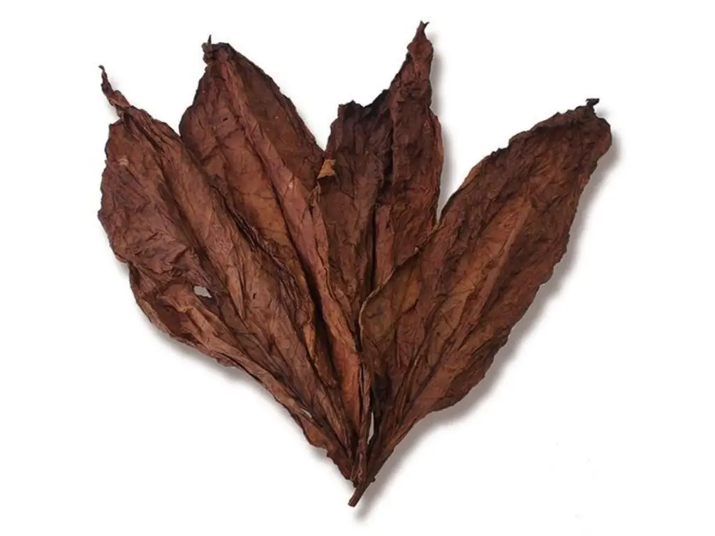 Flue Cured Tobacco