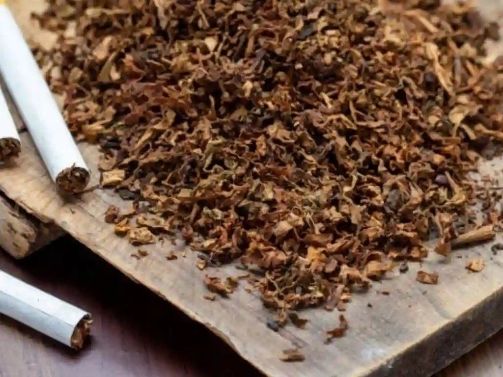 Flue Cured Tobacco